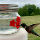 Precioso tarro de conserva comedero para colibríes