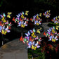 Luces solares de exterior para mariposas